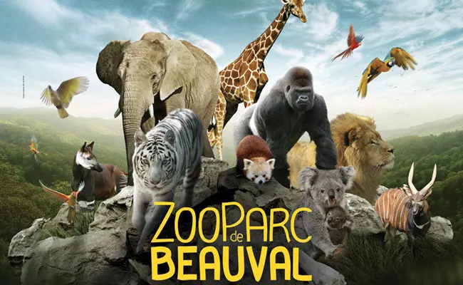 Le zoo de Beauval